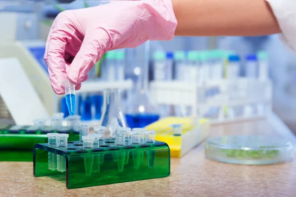 Test tubes and hand — Stock Photo, Image