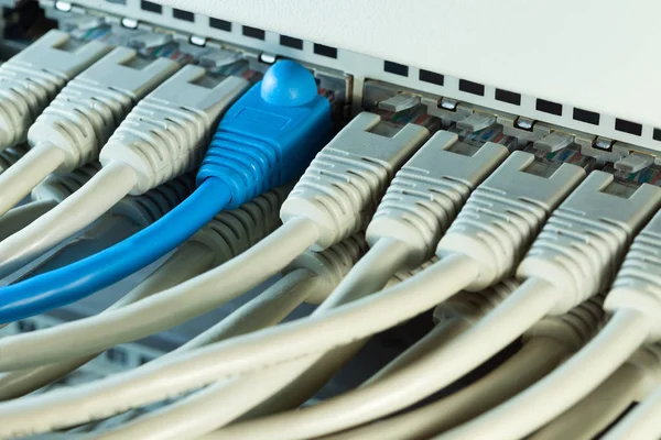 Hub de rede com muitos fios conectados — Fotografia de Stock