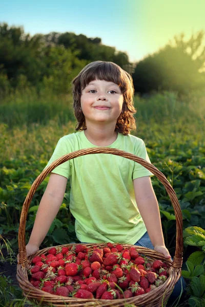 Neşeli çocuk ile meyve sepeti — Stok fotoğraf