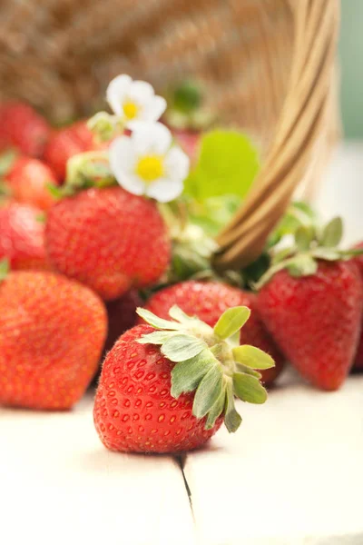 Korg med jordgubbe på bord — Stockfoto