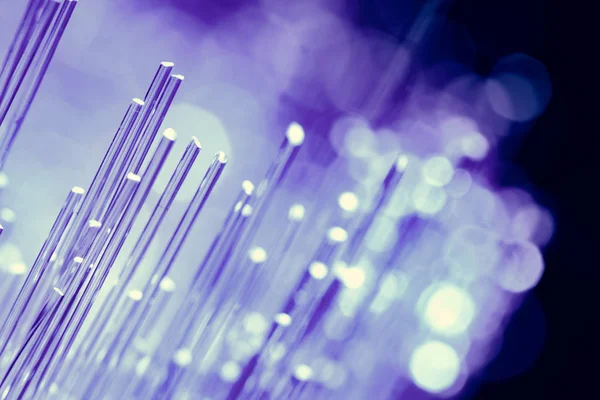 Siyah arkaplanda optik fiber ağ kablosu — Stok fotoğraf