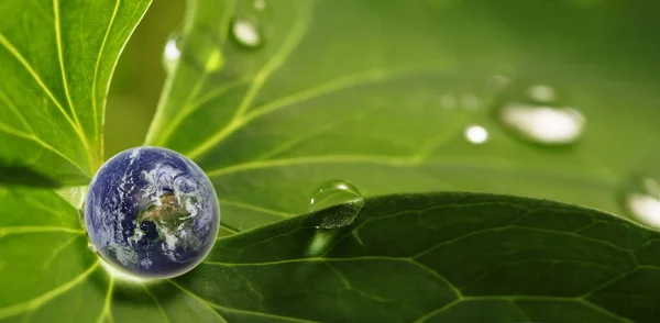 绿叶上的水滴反射中的地球，它的元素 — 图库照片