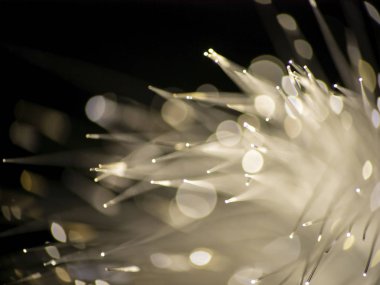 Siyah arkaplanda optik fiber ağ kablosu