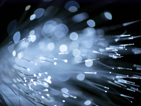 Cable de red de fibra óptica sobre fondo negro —  Fotos de Stock
