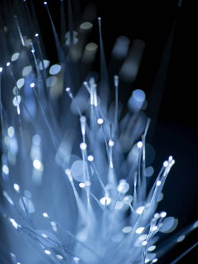 Soyut bulanık ışık maytapları. Bla üzerinde optik fiber ağ kablosu
