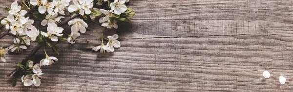 Spring Tree blommor på bakgrund av gamla Vintage Board — Stockfoto