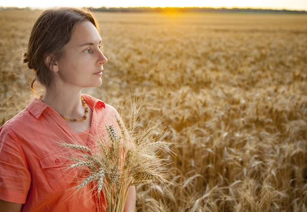 Mulher caminhando no campo com trigo na mão. Pôr do sol. Verão — Fotografia de Stock