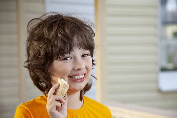 Счастливый маленький мальчик ест мороженое — стоковое фото