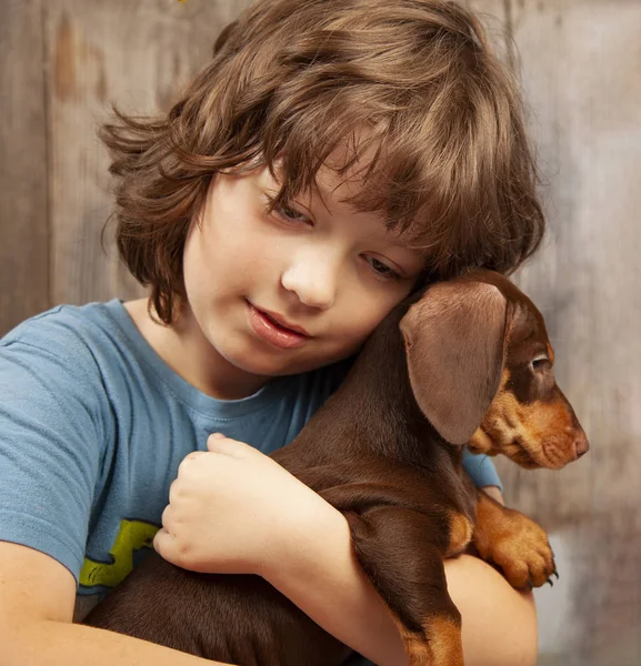 Cão cachorro raça dachshund na mão de um menino, crianças e seu animal de estimação — Fotografia de Stock