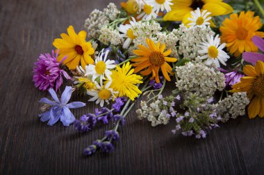 Eski grunge ahşap arka plan (papatya lupine d.