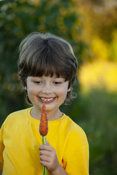 幸せな少年は ニンジン 野菜と子供をかむ 新鮮なニンジンを食べる子供 — ストック写真