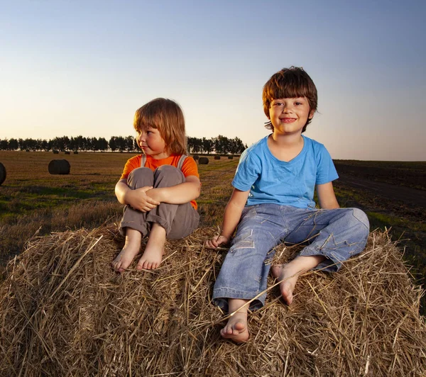 Boys Haystack Field Summer — Stock Photo, Image