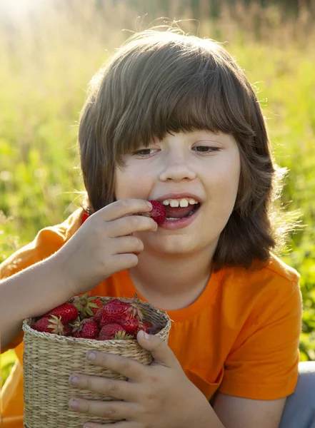 夏の日がある日当たりの良い庭の近くでイチゴを食べる幸せな子供 — ストック写真