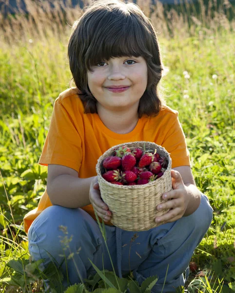 Kind Mit Erdbeeren Sonniger Garten Mit Einem Sommertag — Stockfoto