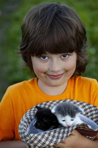 Kotek Ramieniu Chłopca Zewnątrz Dziecko Ogromne Jego Zwierzę Miłość — Zdjęcie stockowe