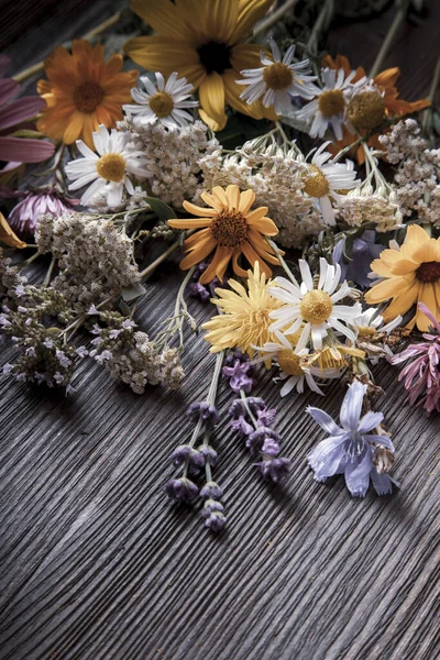 Flores Velha Mesa Madeira Grunge Camomila Lupine Dandelions Tomilho Sinos — Fotografia de Stock