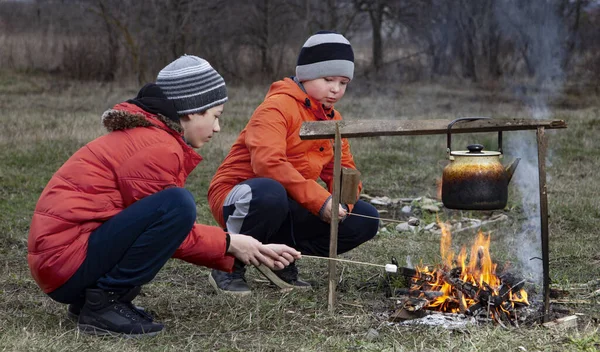 Dwóch Chłopców Pikniku Zimną Pogodę Ognisko Piankami Herbatą — Zdjęcie stockowe