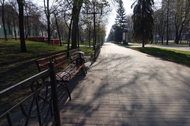 Şehir parkında yapayalnız bir bankta