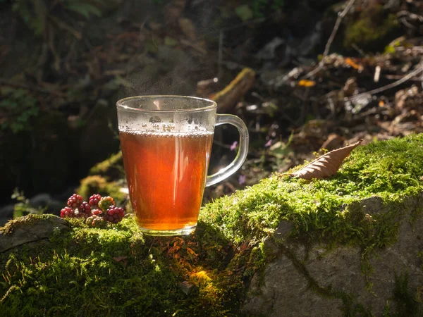 Tasse Tee Auf Baumstumpf Wald Waldreife Waldbeeren Und Weißes Sommerzeit — Stockfoto