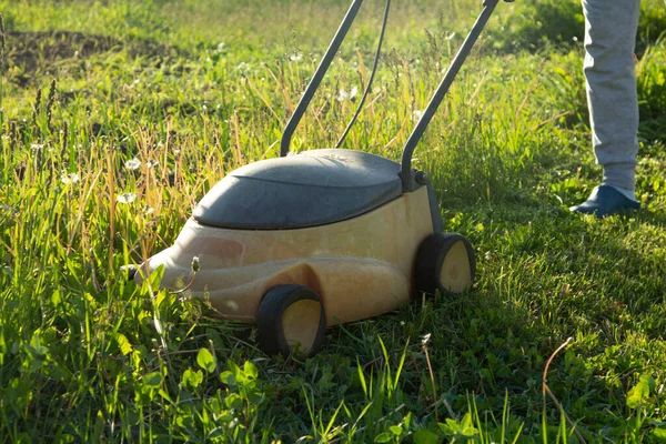 Woman Backyard Mowing Grass Lawn Mower — Stock Photo, Image