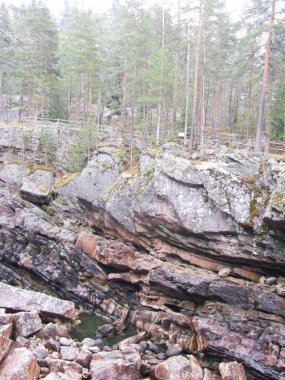 kayalık sahil Nehri