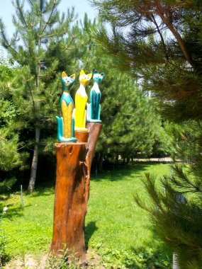 CAT Tarih ağaç kütüğü