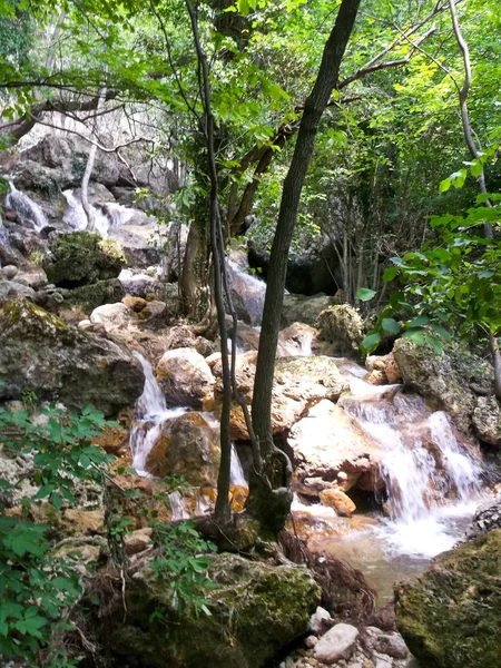 Wasserfall im Wald — Stockfoto