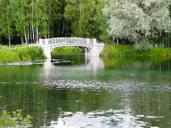 Белый каменный мост — стоковое фото