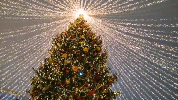 Χριστουγεννιάτικο Κομψό Εορταστικό Έλατο Λάμπει Φώτα Ενάντια Στο Νυχτερινό Ουρανό — Αρχείο Βίντεο