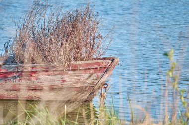 Gölde eski bir balıkçı teknesi. Çimlerle kaplanmış. Eski ahşap