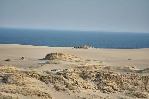 Ökenlandskap. Sand, glest växtlighet. Sanddyner i Kalinin — Stockfoto