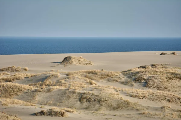 Paisaje del desierto. Arena, vegetación escasa. Dunas de arena de Kalinin —  Fotos de Stock