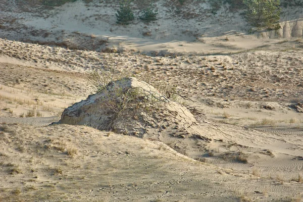 Desert landscape. Sand, sparse vegetation. Sand Dunes of Kalinin — Stock Photo, Image