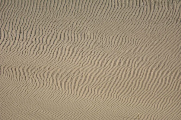 Paisagem do deserto. Areia, vegetação esparsa. Dunas de areia de Kalinin — Fotografia de Stock