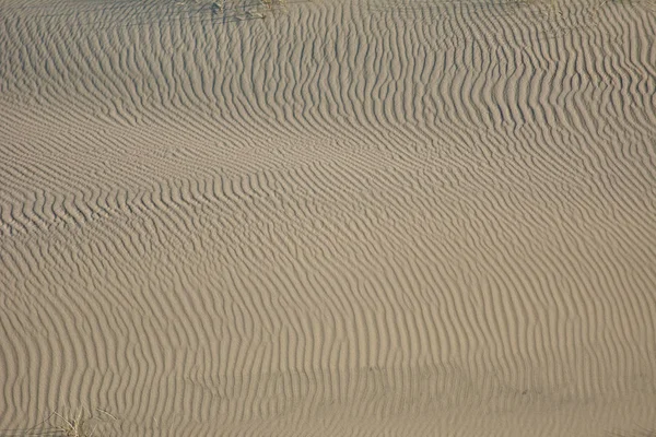 Ökenlandskap. Sand, glest växtlighet. Sanddyner i Kalinin — Stockfoto