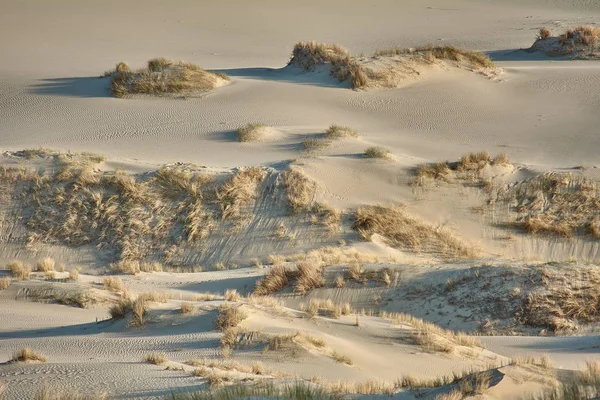 Paisaje del desierto. Arena, vegetación escasa. Dunas de arena de Kalinin —  Fotos de Stock