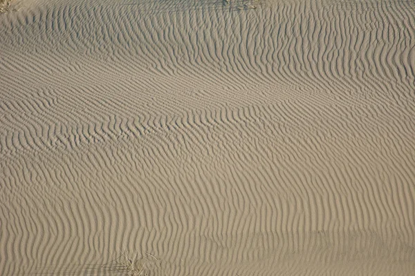 Paisaje del desierto. Arena, vegetación escasa. Dunas de arena de Kalinin — Foto de Stock