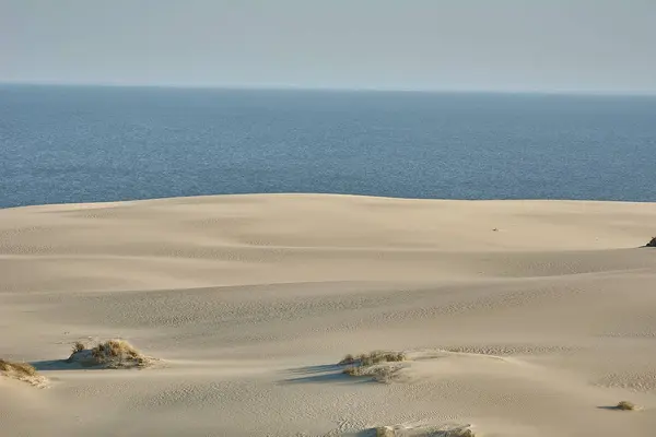 Çöl manzarası. Kum, seyrek bitki örtüsü. Kalinin 'in kum tepeleri — Stok fotoğraf