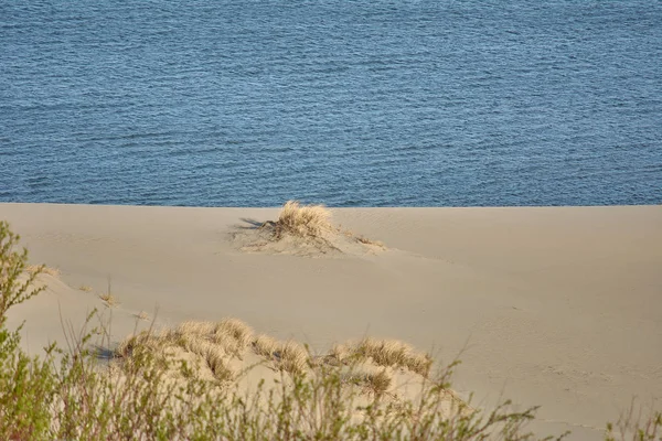 Paisaje del desierto. Arena, vegetación escasa. Dunas de arena de Kalinin —  Fotos de Stock