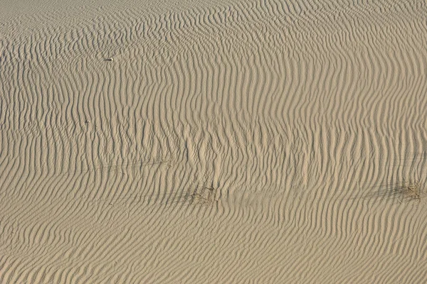 Ökenlandskap. Sand, glest växtlighet. Sanddyner i Kalinin — Stockfoto