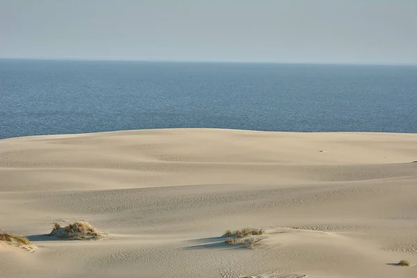 Ökenlandskap. Sand, glest växtlighet. Sanddyner i Kalinin — Stockfoto