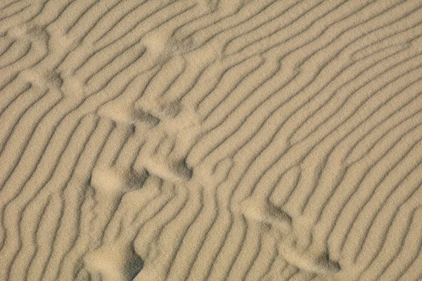 Paisaje del desierto. Arena, vegetación escasa. Dunas de arena de Kalinin —  Fotos de Stock