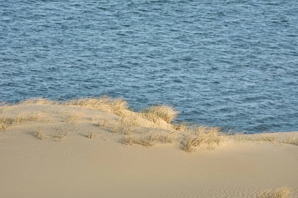 Paisagem do deserto. Areia, vegetação esparsa. Dunas de areia de Kalinin — Fotografia de Stock