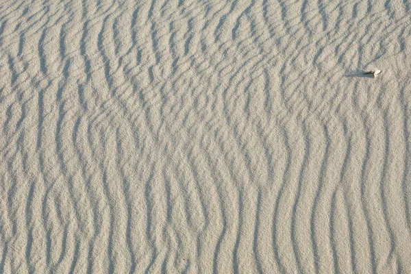 Wüstenlandschaft. Sand, karge Vegetation. Sanddünen von Kalinin — Stockfoto