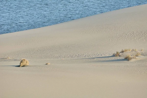 Ökenlandskap. Sand, glest växtlighet. Sanddyner i Kalinin — Stockfoto
