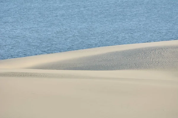 Paisaje del desierto. Arena, vegetación escasa. Dunas de arena de Kalinin —  Fotos de Stock