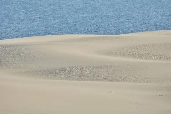 Paisagem do deserto. Areia, vegetação esparsa. Dunas de areia de Kalinin — Fotografia de Stock