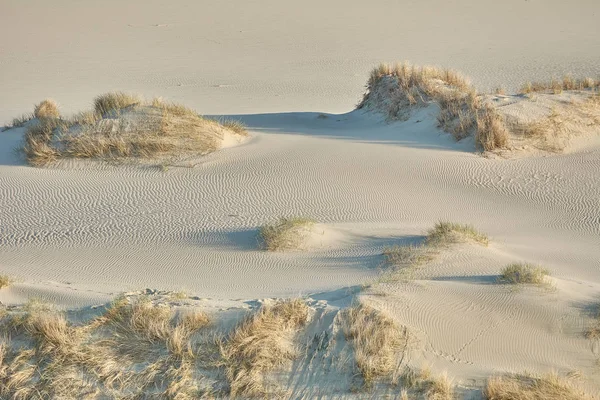 Paisaje del desierto. Arena, vegetación escasa. Dunas de arena de Kalinin —  Fotos de Stock