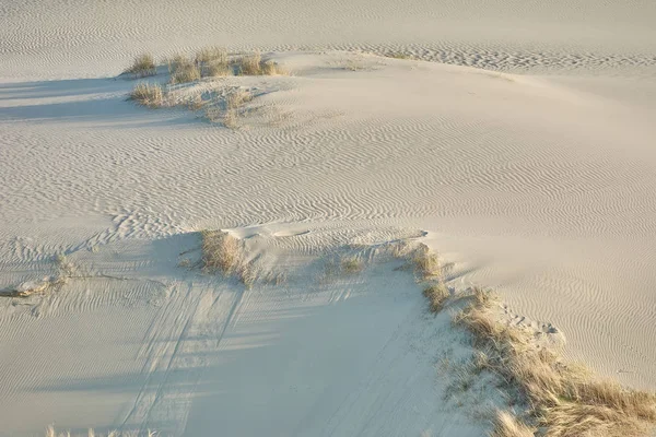 Ökenlandskap. Sand, glest växtlighet. Sanddyner i Kalinin — Stockfoto