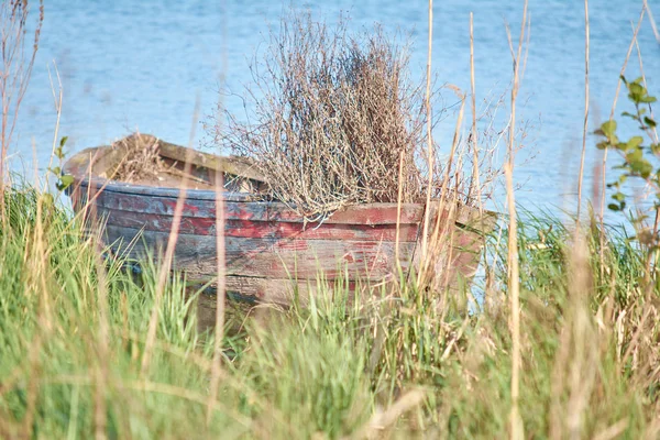 Vieux bateau de pêche sur le lac. Plein d'herbe. Vieux bois et — Photo